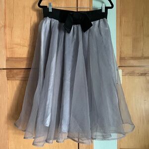 Sheer Silver Gray Fully Lined Skirt w/ Black Stretch Waistband   Size Large NWT